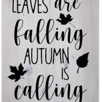 Leaves are falling